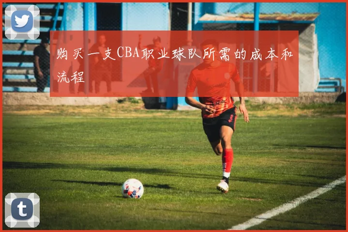 购买一支CBA职业球队所需的成本和流程