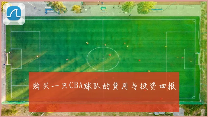 购买一只CBA球队的费用与投资回报