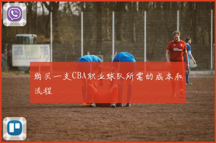 购买一支CBA职业球队所需的成本和流程