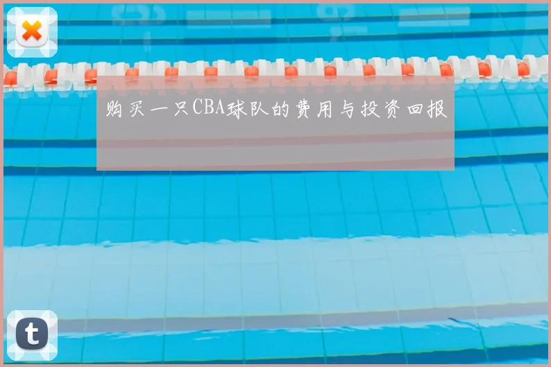 购买一只CBA球队的费用与投资回报
