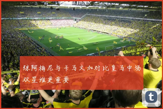 琼阿梅尼与卡马文加对比皇马中场双星谁更重要